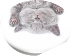 PopSockets PopGrip Cat Nap -Ecover Geschäft MAM 7173844 SHOP IMAGE 1.4