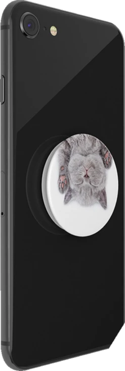 PopSockets PopGrip Cat Nap -Ecover Geschäft MAM 7173845 SHOP IMAGE 1.6