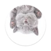 PopSockets PopGrip Cat Nap