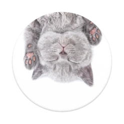 PopSockets PopGrip Cat Nap