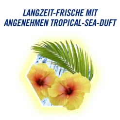 WC Stein Power5+ Aktiv Blauspüler Türkis 10 WC Stein Power5+ Aktiv Blauspüler Türkis -Ecover Geschäft MAM 7774971 SHOP IMAGE 1.4