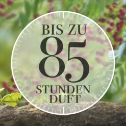 Große Duftkerze Rosa Pfeffer & Kardamom 9 Große Duftkerze Rosa Pfeffer & Kardamom -Ecover Geschäft MAM 8105561 SHOP IMAGE 1.4