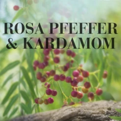 Große Duftkerze Rosa Pfeffer & Kardamom 11 Große Duftkerze Rosa Pfeffer & Kardamom -Ecover Geschäft MAM 8105566 SHOP IMAGE 1.4