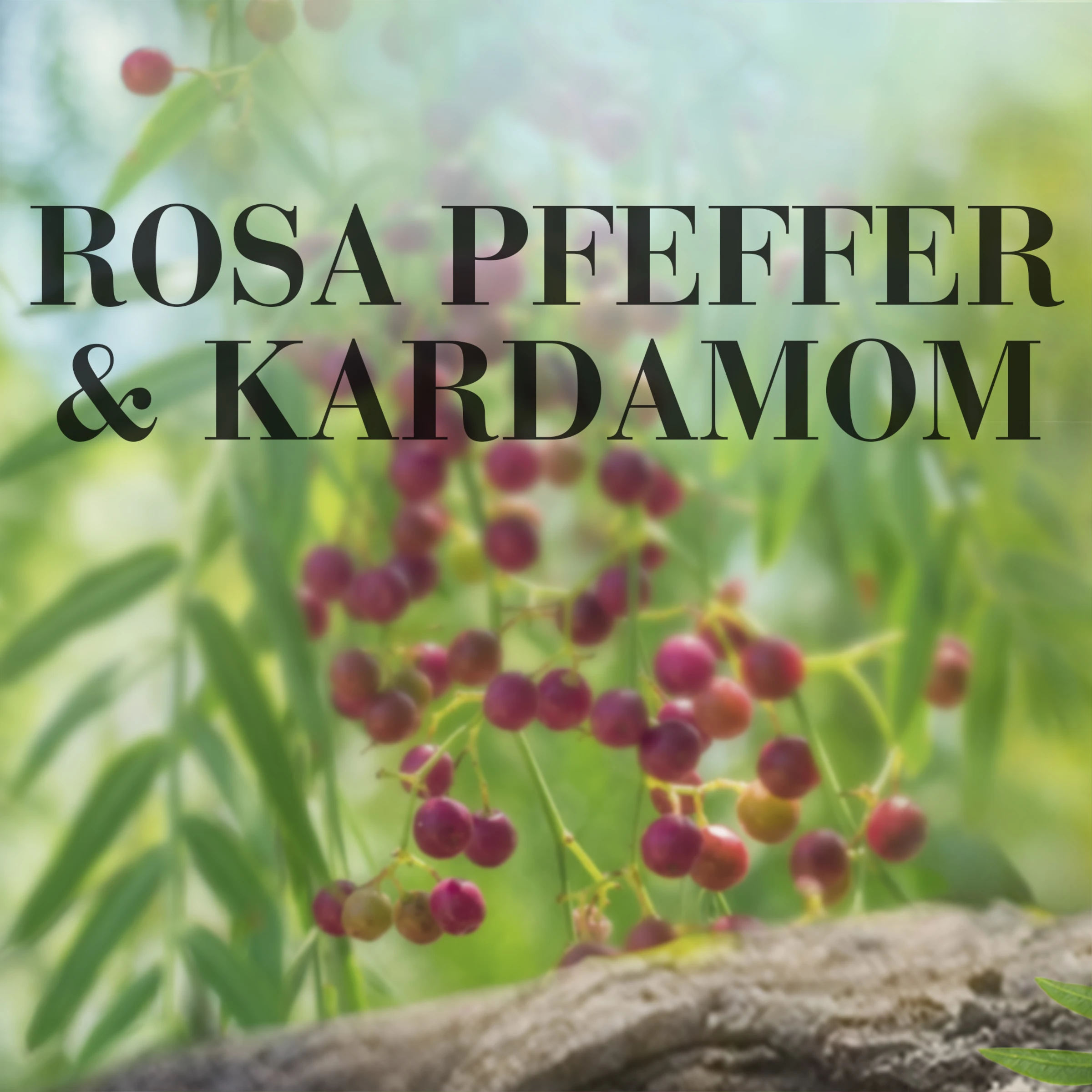 Große Duftkerze Rosa Pfeffer & Kardamom 5 Große Duftkerze Rosa Pfeffer & Kardamom – Bild 5