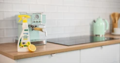 Pure Reine Citronensäure Spray -Ecover Geschäft MAM 8704200 SHOP IMAGE 1.4