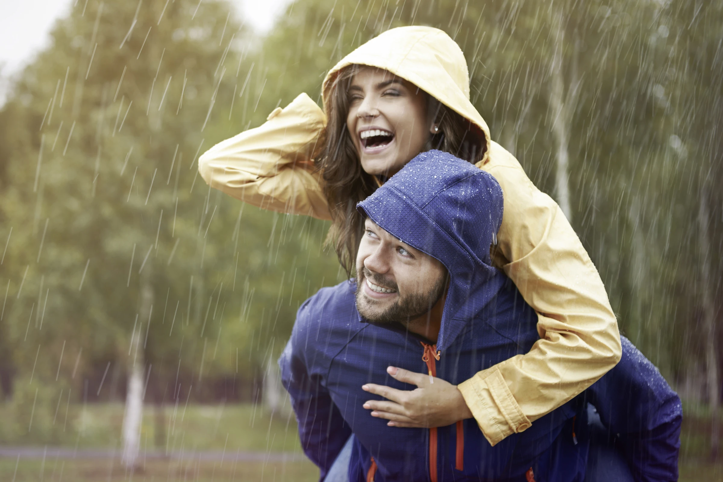 Einwaschimprägnierer 3 Einwaschimprägnierer – Bild 3