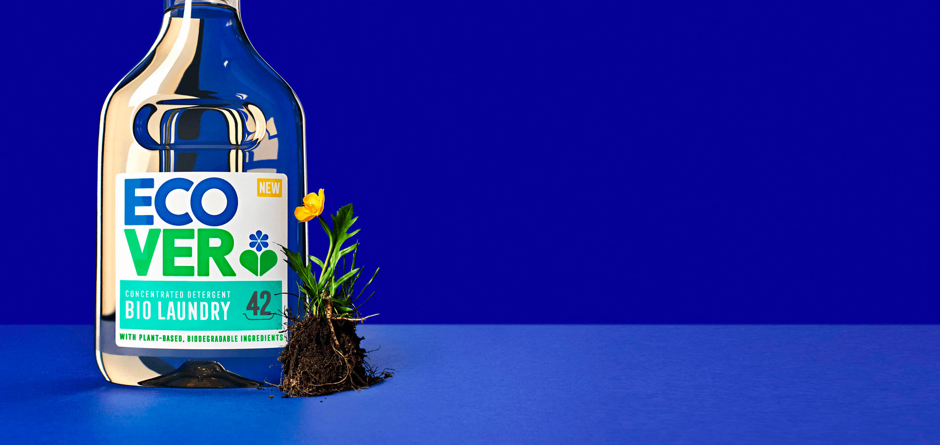 Ecover Geschäft 1 Ecover Geschäft -Ecover Geschäft Ecover